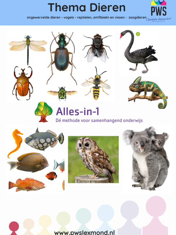 Alles-in-1-themabord-Dieren